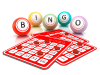 Contact50 Udenhout Bingo