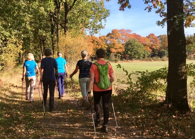 Contact50 Nordic walking